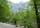 Slovenië - Bohinj