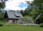 Slovenië - Bohinj