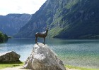 Slovenië - Bohinj