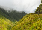 Levada walk