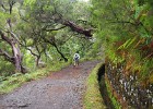 Levada walk