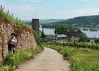 Rüdesheim