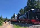 Wandeling naar de top van de Brocken