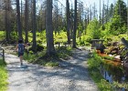 Wandeling naar de top van de Brocken